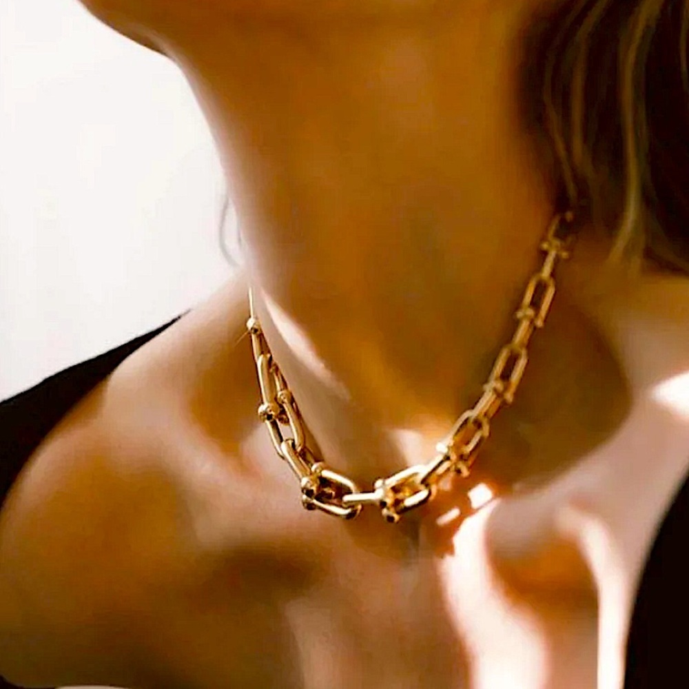 Gold Hardware Graduated Link U Necklace - Picture 10 of 12